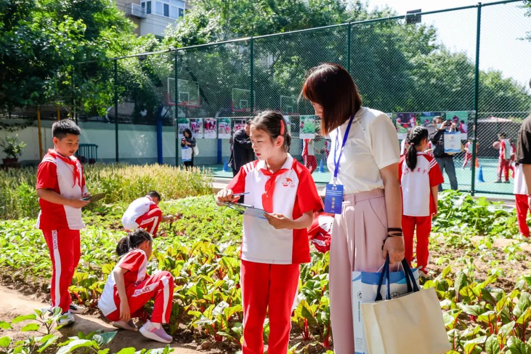 当劳动和科技融合，这场劳动教育现场会让人眼前一亮