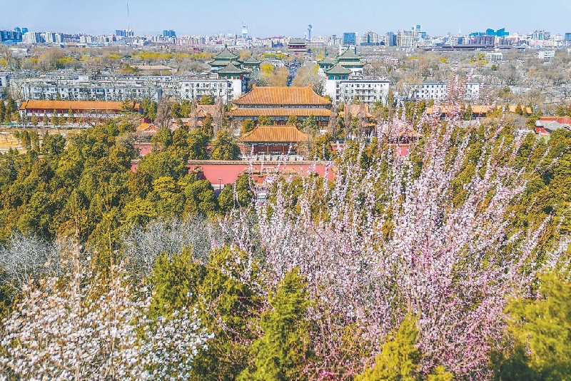 花园城市丨美不胜收！北京在花园城市建设中，首都气韵更加浓郁