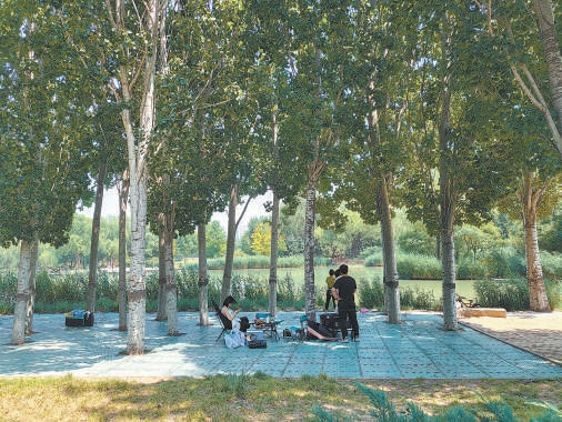 花园城市丨拆栏透绿！北京推进“无界公园”建设，打造绿色共享空间新体验