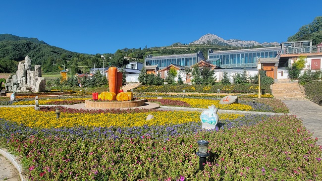 【我们的家园 幸福美好新甘肃】临潭：文旅融合绘新篇