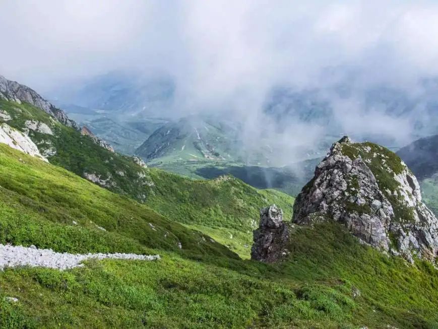 直播|【走近一线法官】法绘新“枫”景 陇原新画卷