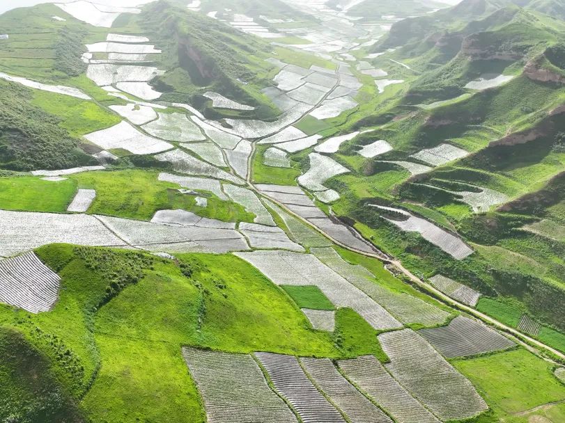 直播|【走近一线法官】法绘新“枫”景 陇原新画卷