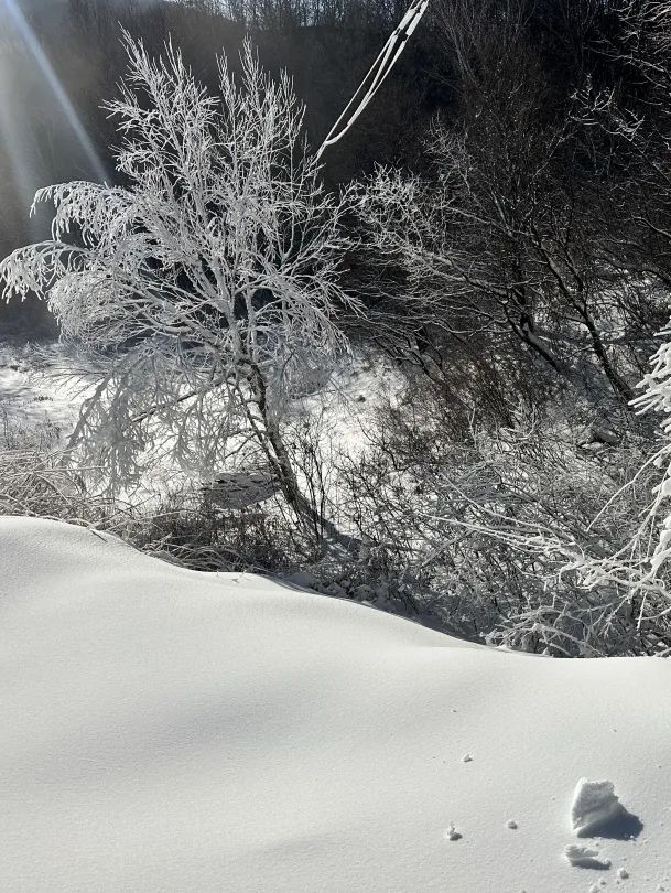 造雪全面展开！玉渡山冰雪嘉年华带你“嗨”整冬！