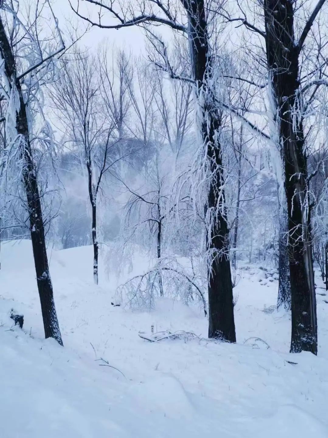 造雪全面展开！玉渡山冰雪嘉年华带你“嗨”整冬！