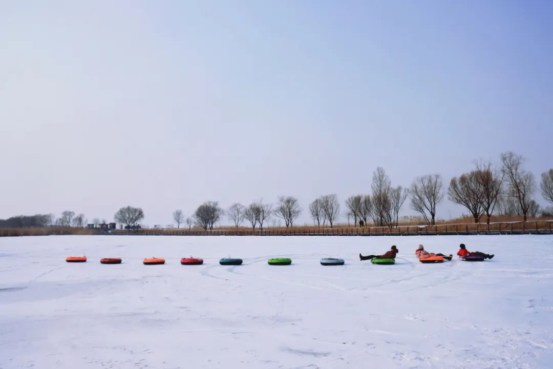 观鸟赏景+冰雪狂欢＝畅玩野鸭湖！