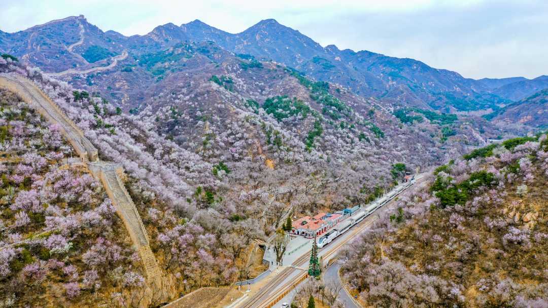 第二届京张体育文化旅游带网红打卡地评选启动 第二届京张体育文化旅游带网红打卡地评选启动
