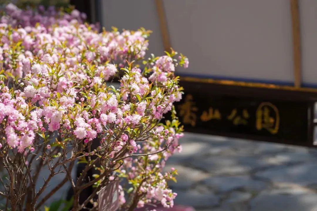 “影视里的北京”打卡路线8：大师之城丨大荧幕上的光影诗行