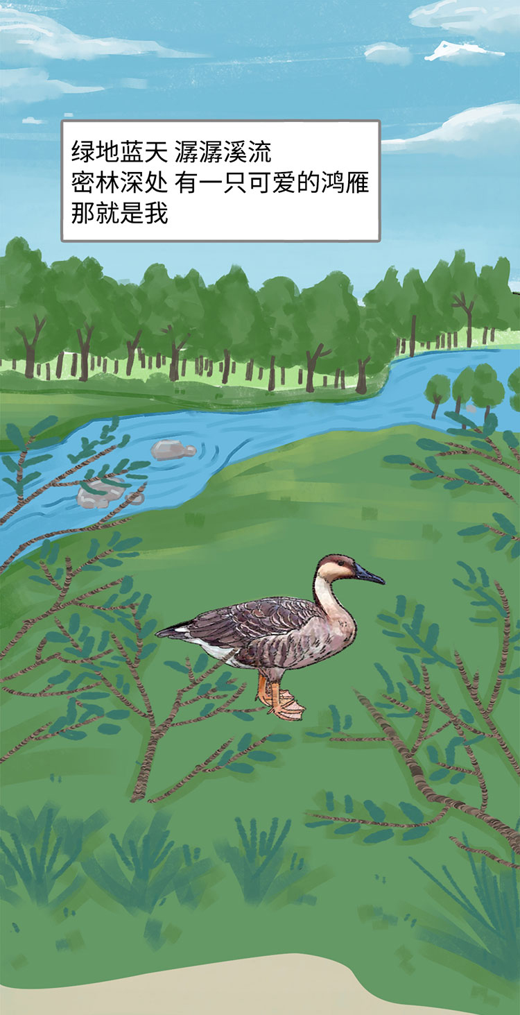 关于绿隔地区规划，听听TA们怎么说→