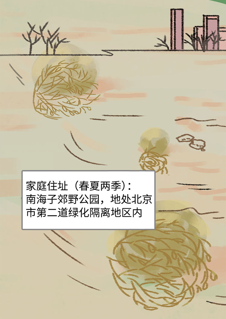 关于绿隔地区规划，听听TA们怎么说→