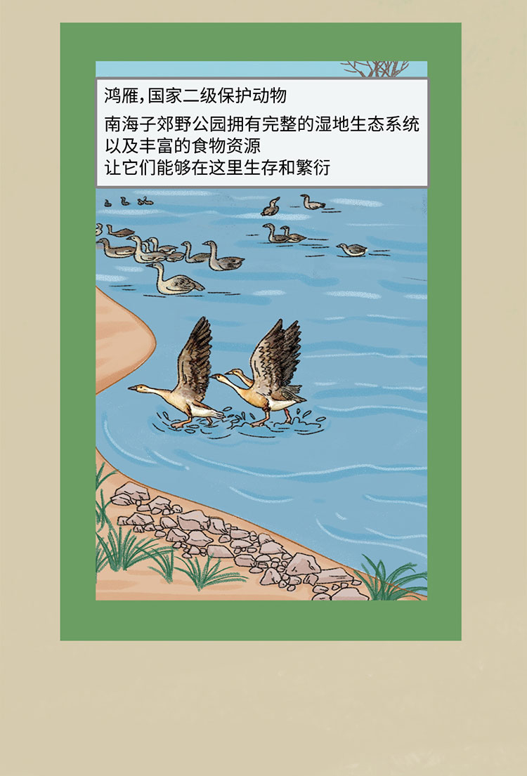 关于绿隔地区规划，听听TA们怎么说→