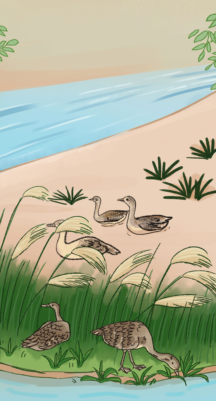 关于绿隔地区规划，听听TA们怎么说→