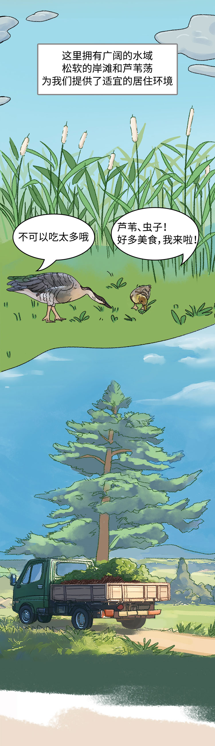 关于绿隔地区规划，听听TA们怎么说→