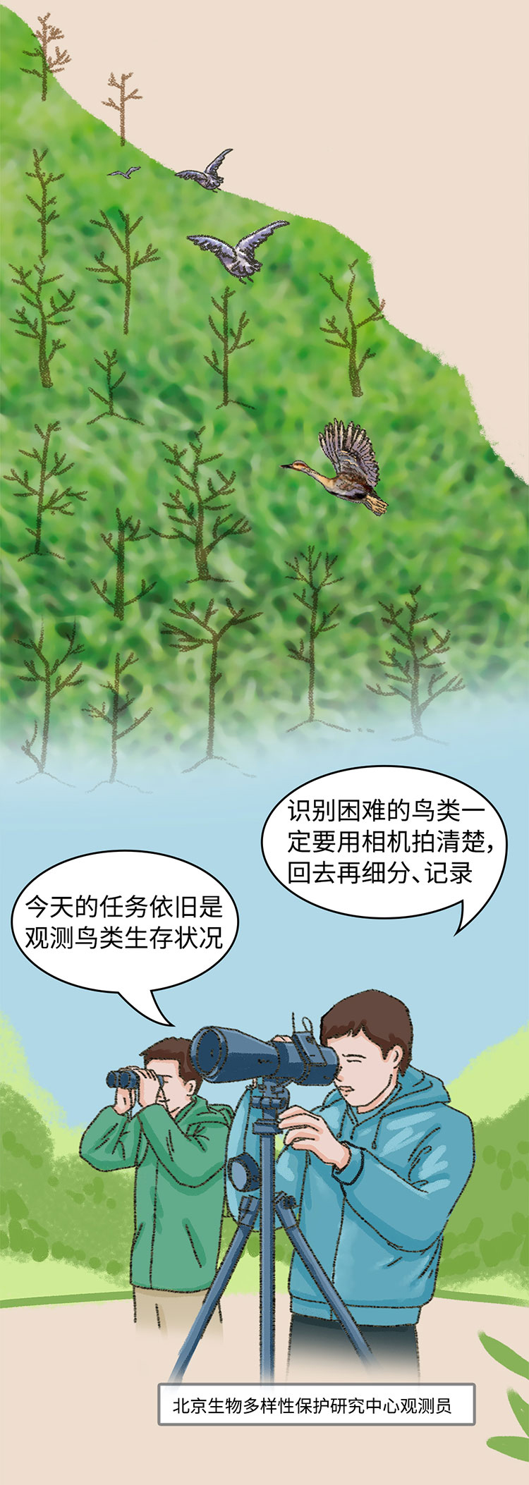 关于绿隔地区规划，听听TA们怎么说→