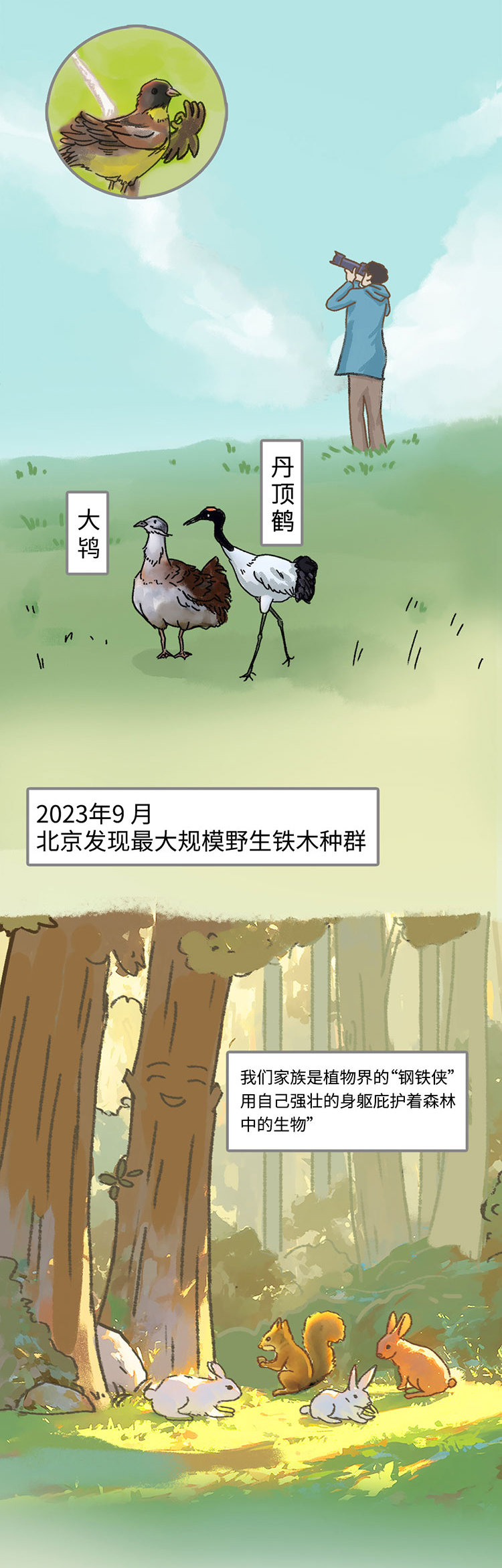 关于绿隔地区规划，听听TA们怎么说→