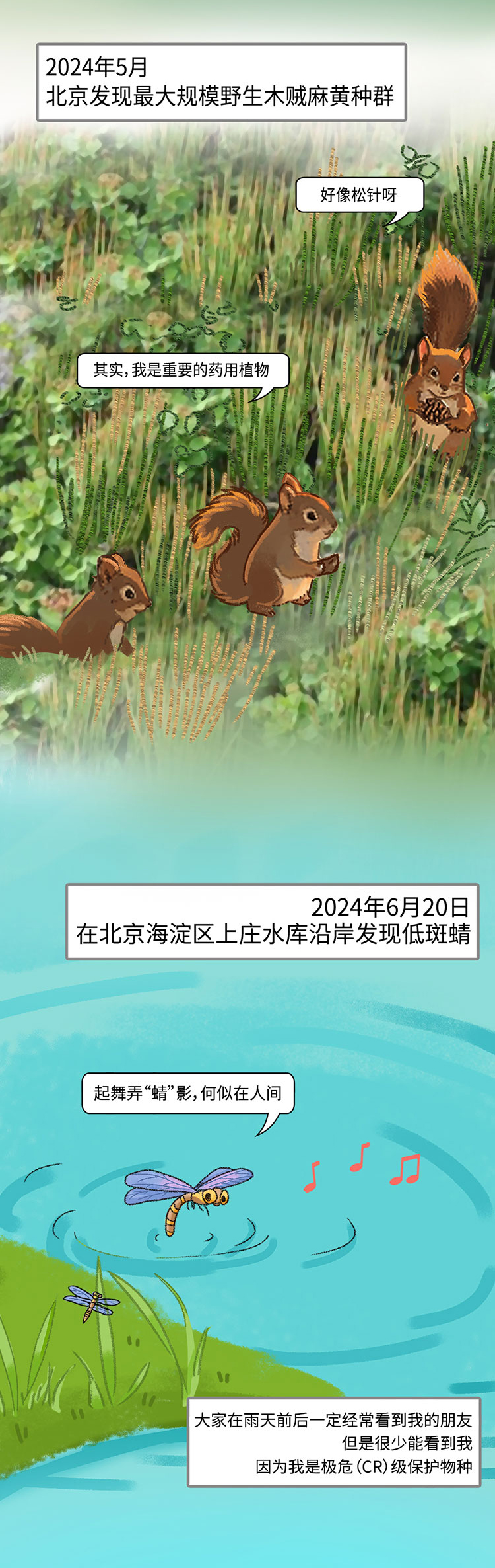 关于绿隔地区规划，听听TA们怎么说→