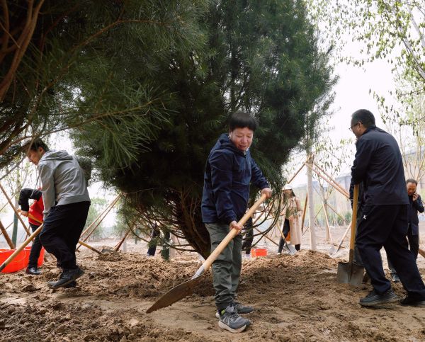 民建北京市委举办“同心八十载 共植民建林”植树活动