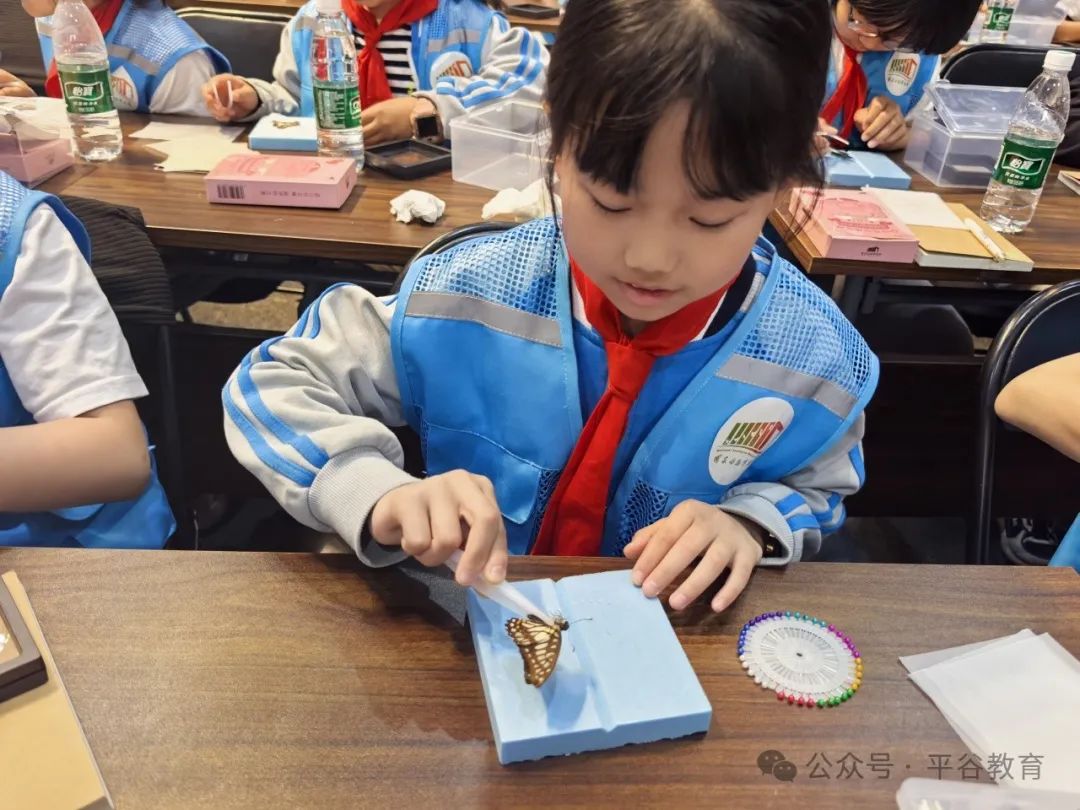 阅读周特别行动|对话文化名家,解锁“行走的阅读课”