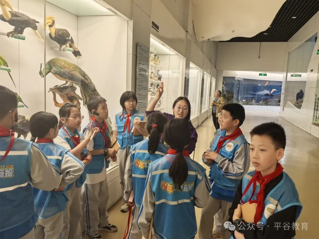 阅读周特别行动|对话文化名家,解锁“行走的阅读课”