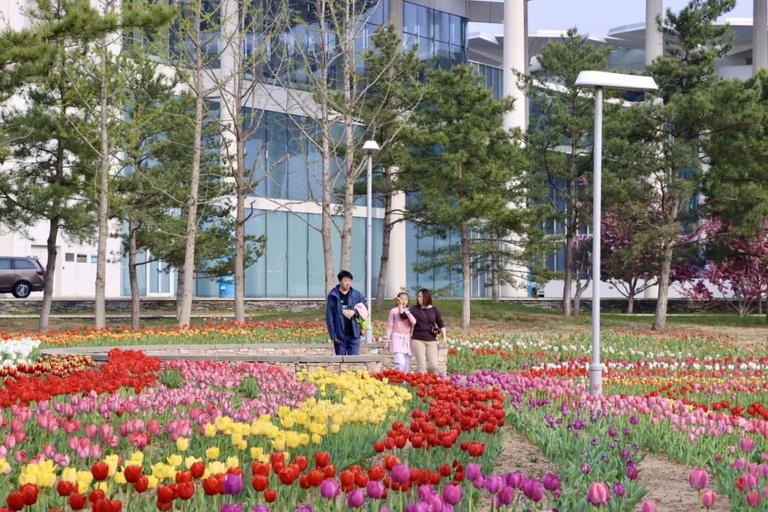 “五一趣延庆”~百余项活动拉满文旅热力值→