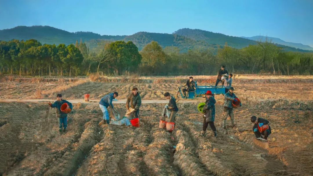 《种地吧3》:重返囊谦践诺言,芫根飘香续振兴