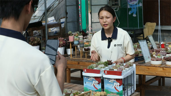 多肉成网购团宠，两消费趋势明显