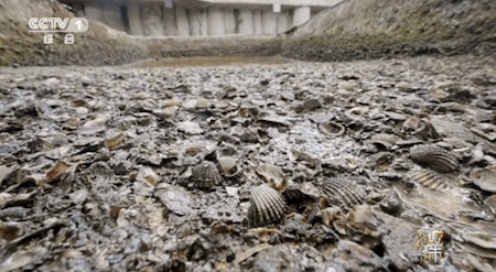 千年港城探华章《城市风华录》走进文明城市宁波