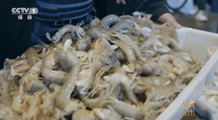 千年港城探华章《城市风华录》走进文明城市宁波