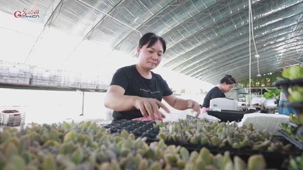 手速如风！“动作慢了可不行，供不上订单哩”