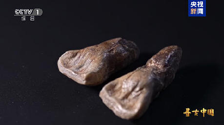 揭秘百万年人类史!《寻古中国·东方人类百万年》开播 揭秘百万年人类史!《寻古中国·东方人类百万年》开播