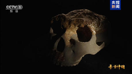 揭秘百万年人类史!《寻古中国·东方人类百万年》开播 揭秘百万年人类史!《寻古中国·东方人类百万年》开播