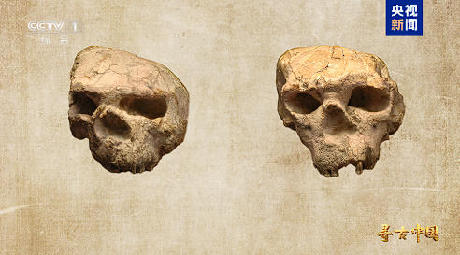 揭秘百万年人类史!《寻古中国·东方人类百万年》开播 揭秘百万年人类史!《寻古中国·东方人类百万年》开播