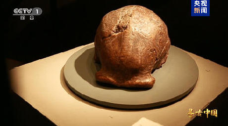 揭秘百万年人类史!《寻古中国·东方人类百万年》开播 揭秘百万年人类史!《寻古中国·东方人类百万年》开播