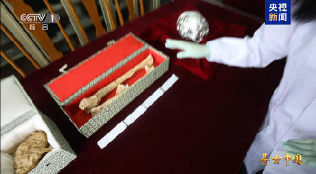 揭秘百万年人类史!《寻古中国·东方人类百万年》开播 揭秘百万年人类史!《寻古中国·东方人类百万年》开播