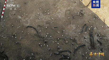 揭秘百万年人类史!《寻古中国·东方人类百万年》开播 揭秘百万年人类史!《寻古中国·东方人类百万年》开播