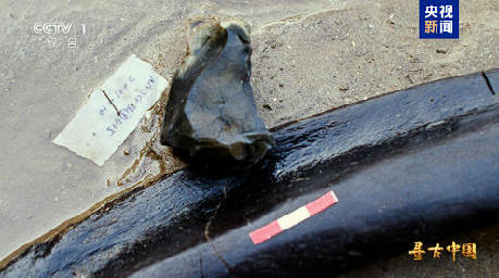 揭秘百万年人类史!《寻古中国·东方人类百万年》开播 揭秘百万年人类史!《寻古中国·东方人类百万年》开播