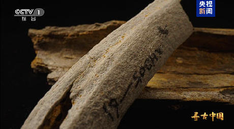揭秘百万年人类史!《寻古中国·东方人类百万年》开播 揭秘百万年人类史!《寻古中国·东方人类百万年》开播