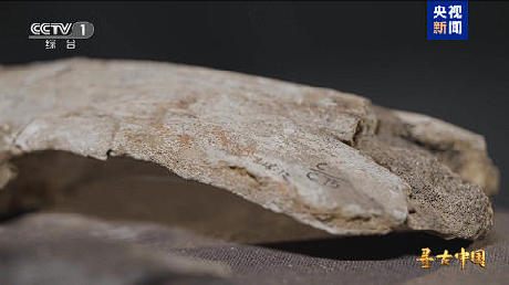 揭秘百万年人类史!《寻古中国·东方人类百万年》开播 揭秘百万年人类史!《寻古中国·东方人类百万年》开播