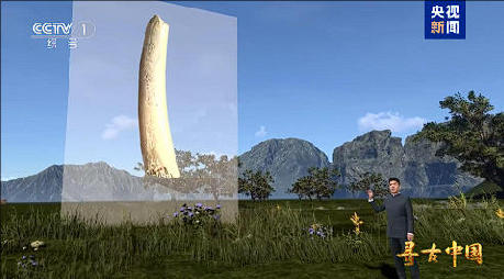 揭秘百万年人类史!《寻古中国·东方人类百万年》开播 揭秘百万年人类史!《寻古中国·东方人类百万年》开播