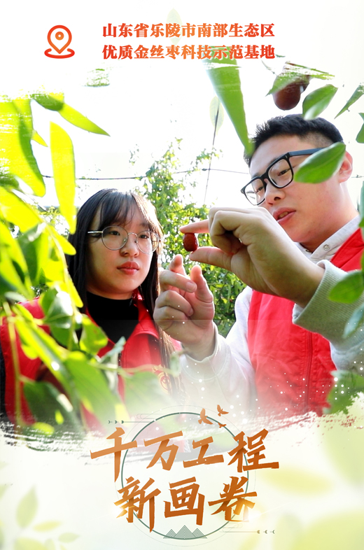 【“千万工程”新画卷】科技小院：善用科技力 巧种致富果