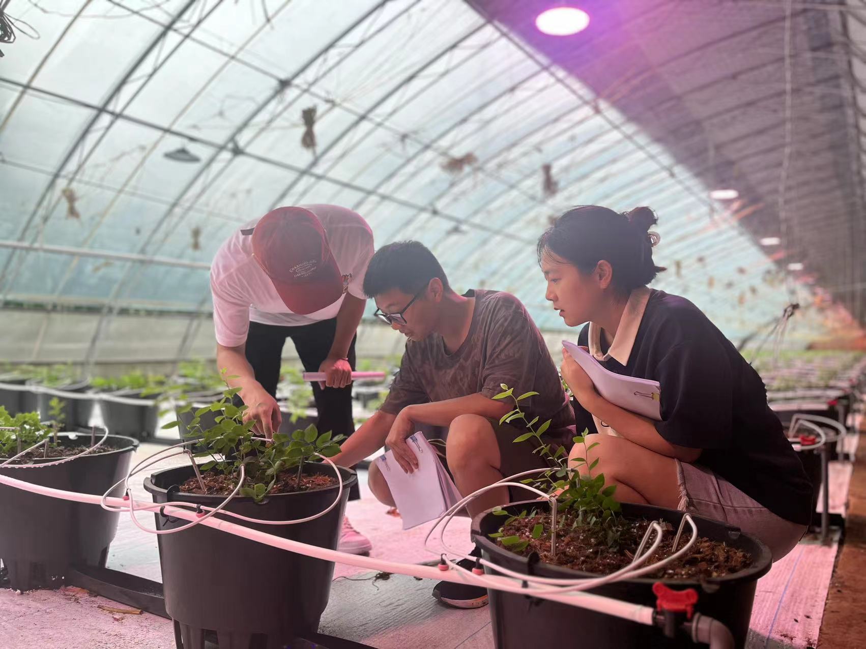 北京高校服务新时代首都发展特别报道 | 北京信息科技大学①:“智慧”点亮北京科技小院 北京高校服务新时代首都发展特别报道 | 北京信息科技大学①:“智慧”点亮北京科技小院