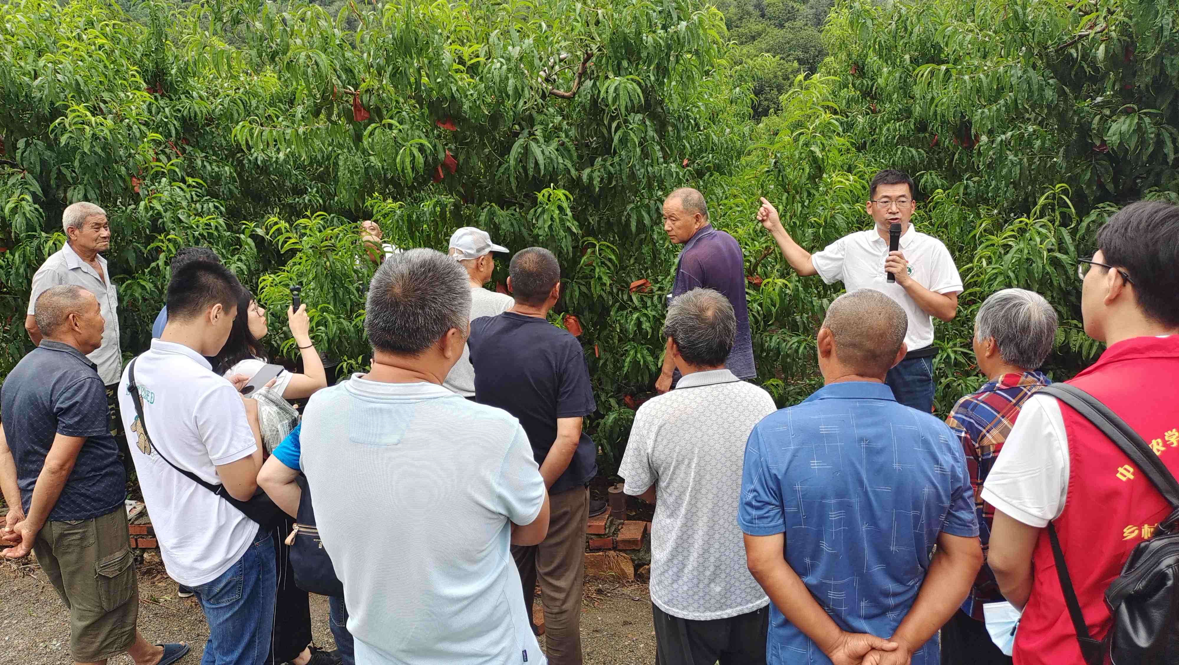 北京高校服务新时代首都发展特别报道 | 北京农学院②:打造助农兴农“联合舰队” 北京高校服务新时代首都发展特别报道 | 北京农学院②:打造助农兴农“联合舰队”