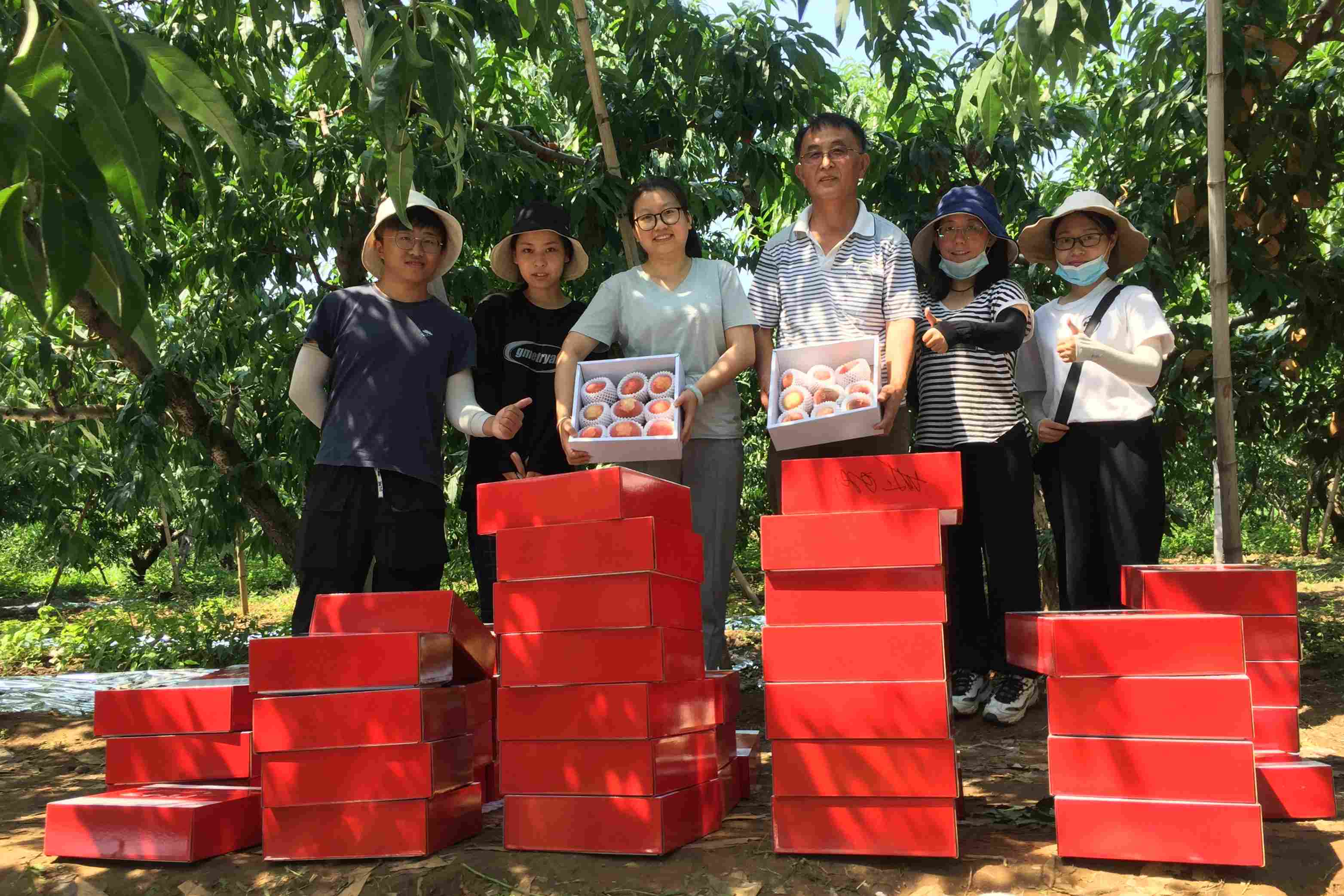 北京高校服务新时代首都发展特别报道 | 北京农学院②:打造助农兴农“联合舰队” 北京高校服务新时代首都发展特别报道 | 北京农学院②:打造助农兴农“联合舰队”
