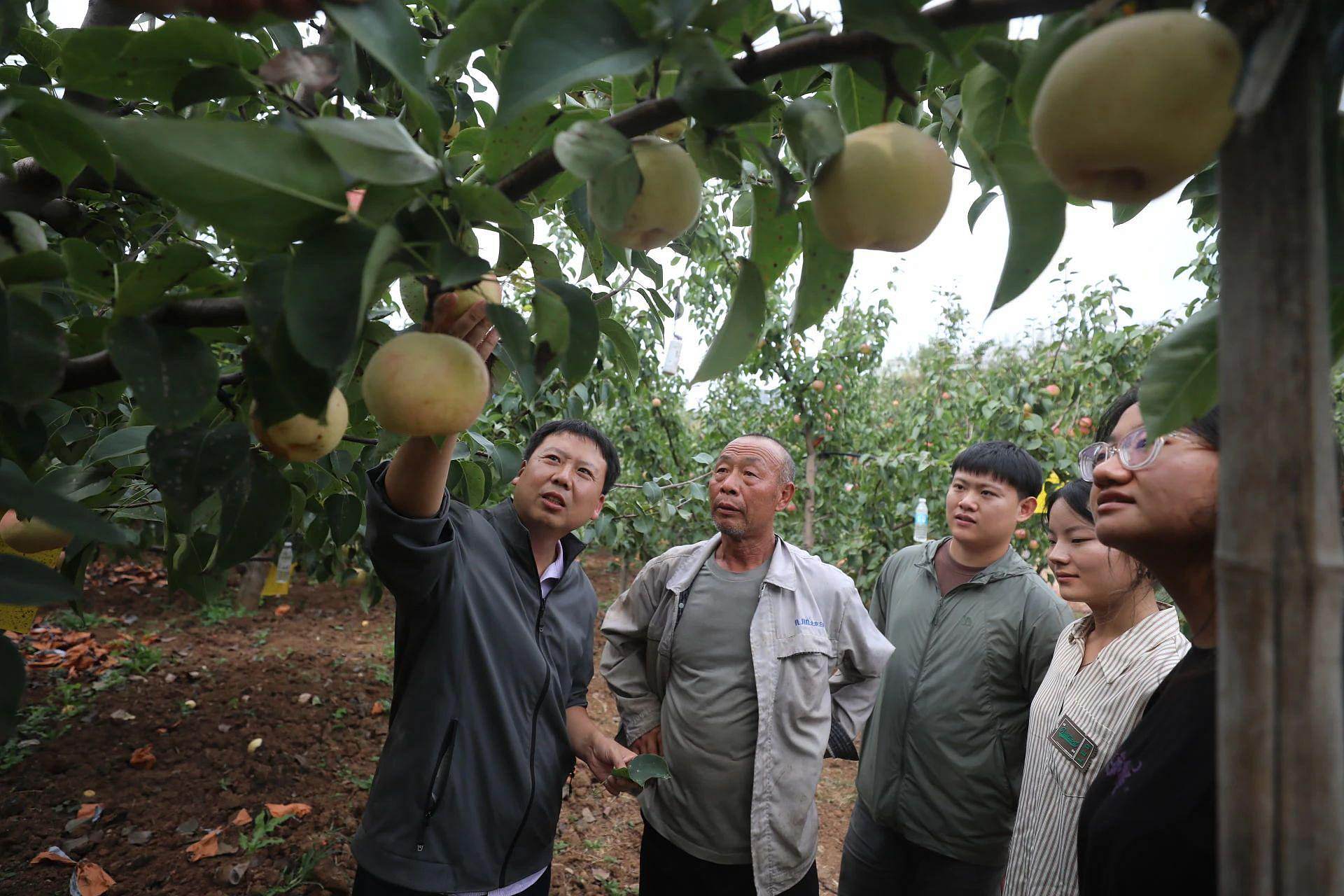 北京高校服务新时代首都发展特别报道 | 北京农学院②：打造助农兴农“联合舰队”