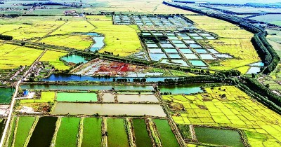 《光明日报》与《吉林日报》合作采写报道《这么一“升级”，吉林农业真的变了！》