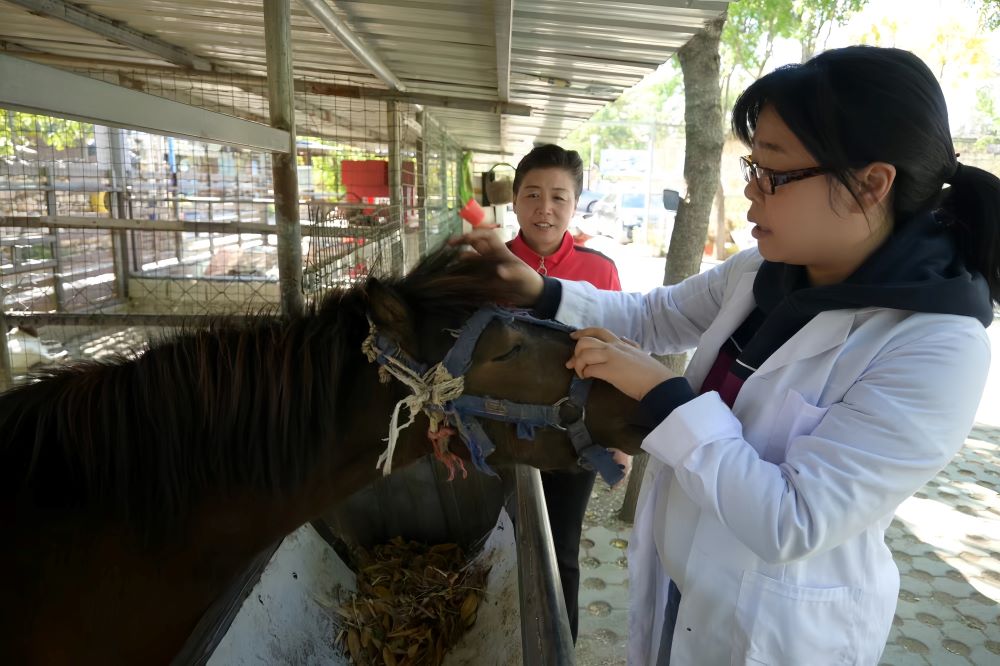 北京高校服务新时代首都发展特别报道 | 北京农业职业学院①：创新“五位一体”育训服体系 为首都乡村振兴注入职教动能