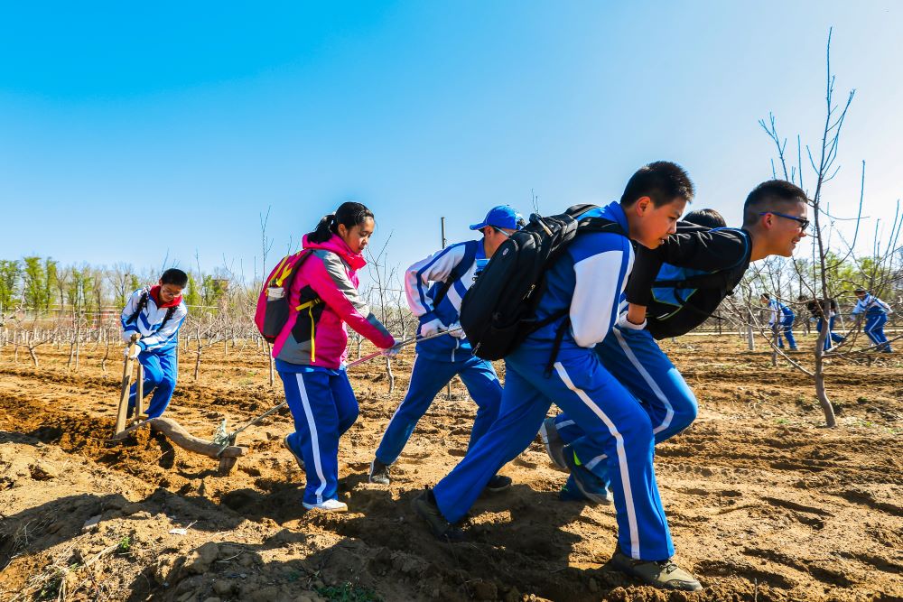 北京高校服务新时代首都发展特别报道 | 北京农业职业学院①：创新“五位一体”育训服体系 为首都乡村振兴注入职教动能