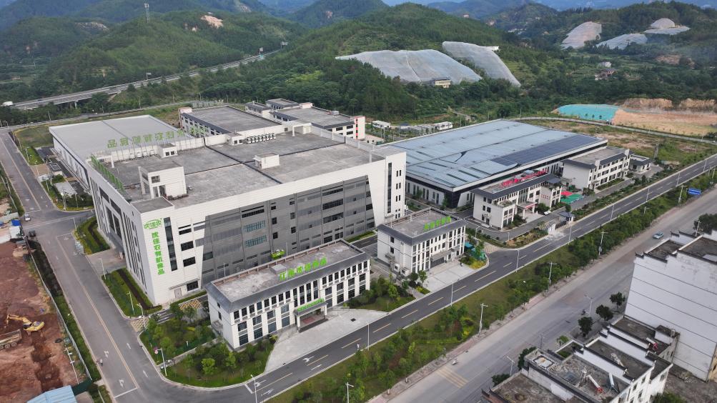 活力中国调研行丨沿着东江走出深山，老区农业如何撬开湾区市场？