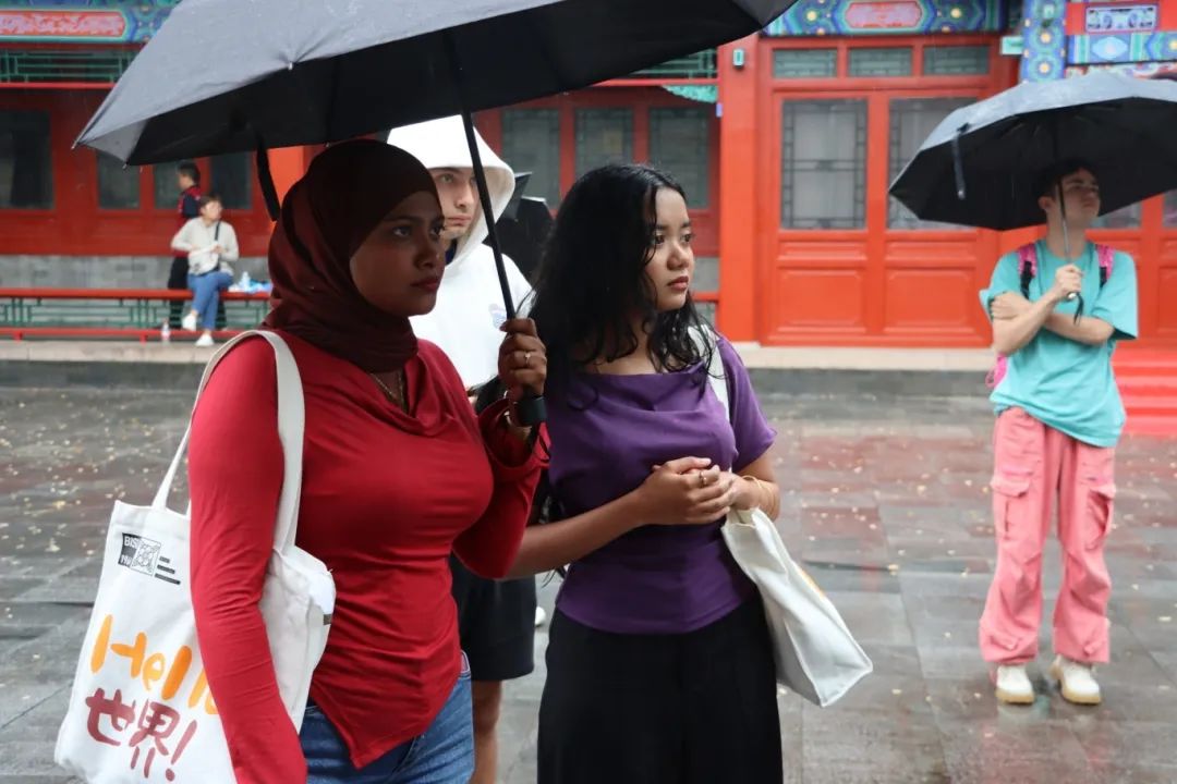 “登长城是最棒记忆” 19名国际学员延庆“过暑假”