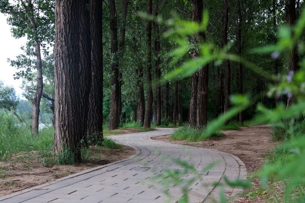 延庆21公里滨水步道建成,锻炼、休闲好去处