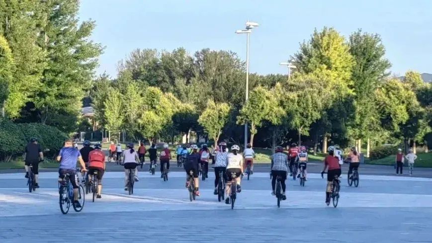 带上“毛孩子”一起逛！世园“夜市派对”太全面了